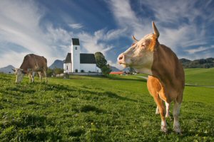 Wellnessurlaub Bayern - Wellness-Anwendungen und Hotels in Bayern