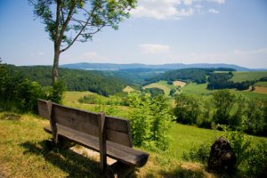 Wellnessurlaub Schwarzwald - Wellness-Anwendungen und Hotels im Schwarzwald