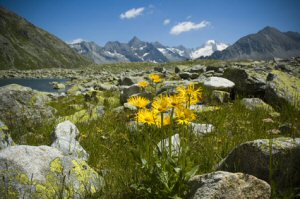 Wellnessurlaub Zillertal - Wellness-Anwendungen und Hotels im Zillertal